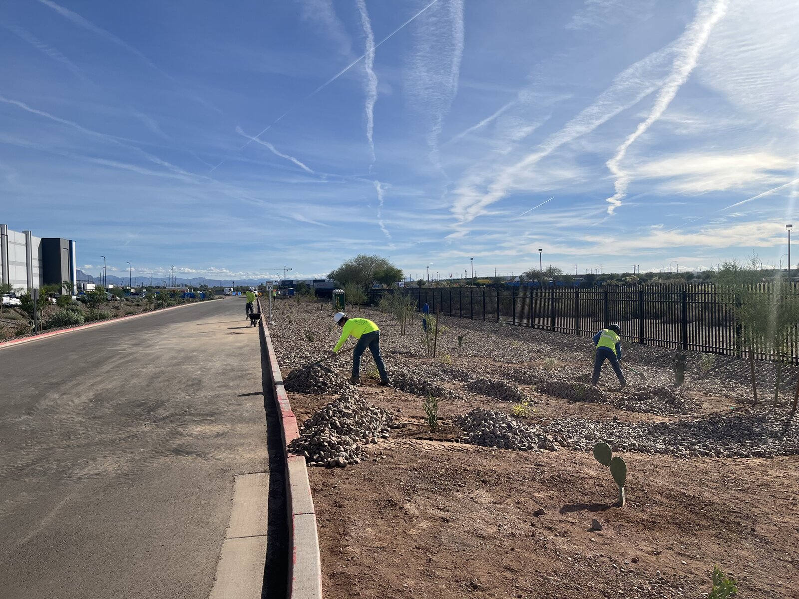 Commercial Landscape Installation
