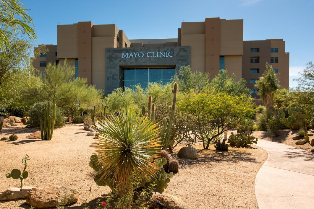 Commercial landscape installation with desert plants and decorative rock